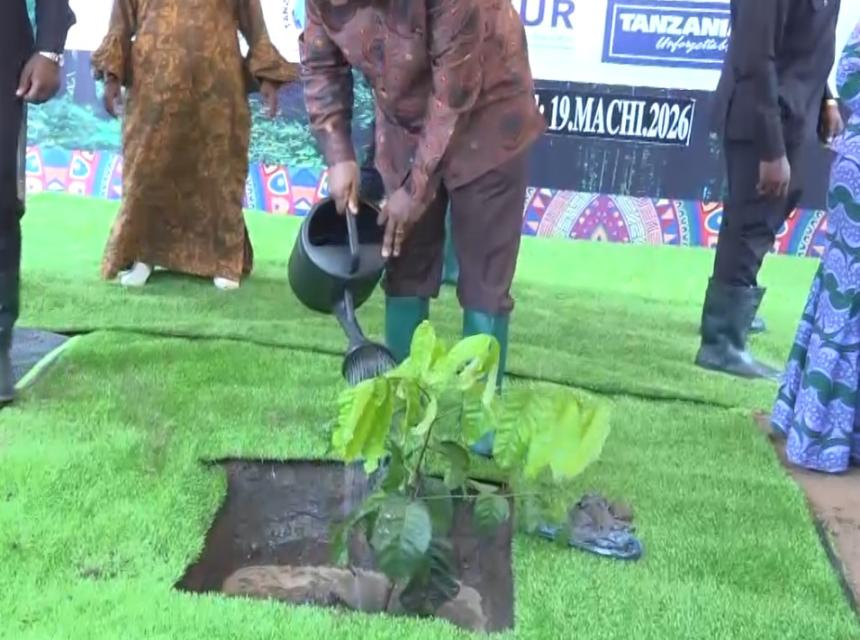 DKT.NCHIMBI UPANDAJI MITI